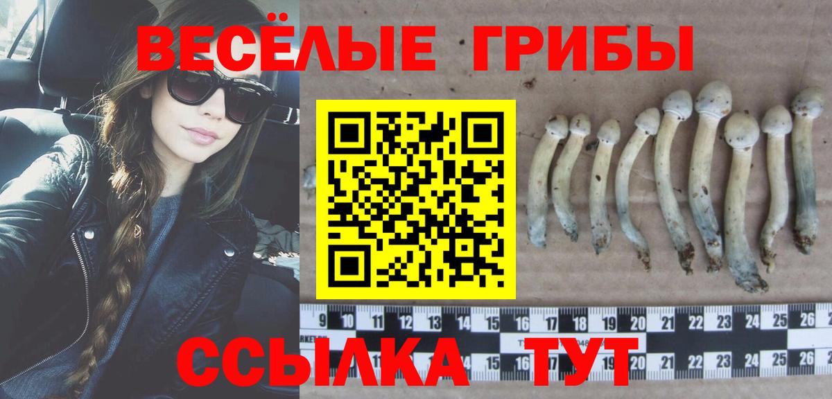 Псилоцибиновые грибы GOLDEN TEACHER  Вход с VPN  Заречный 